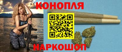 крисы Будённовск