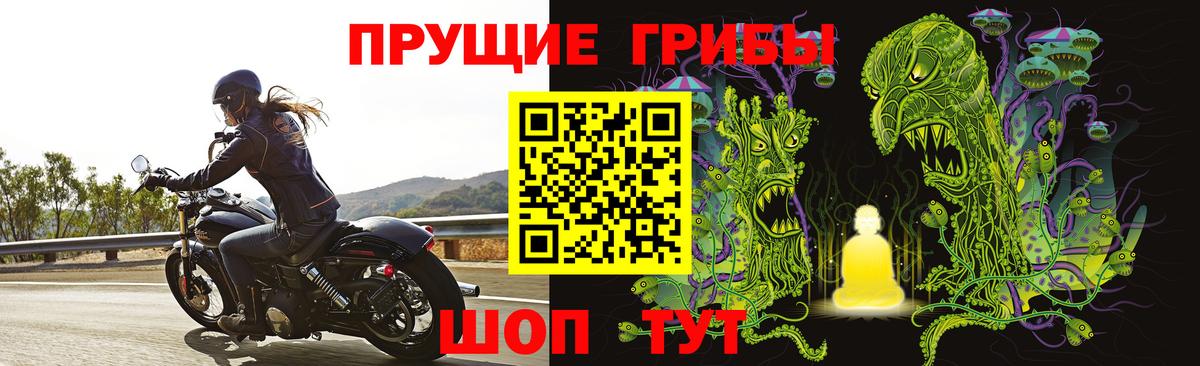 Галлюциногенные грибы Psilocybe  Вход с VPN  Псилоцибиновые грибы мухоморы  Южно-Сахалинск 
